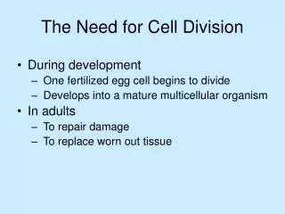 The Need for Cell Division