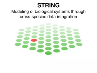 STRING Modeling of biological systems through cross-species data integration