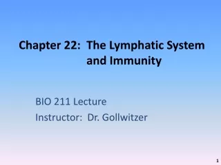 Chapter 22:  The Lymphatic System and Immunity