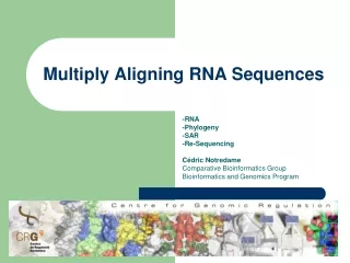 Multiply Aligning  RNA  Sequences