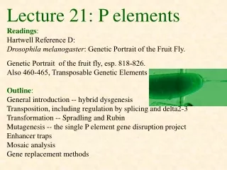 Lecture 21: P elements Readings : Hartwell Reference D: