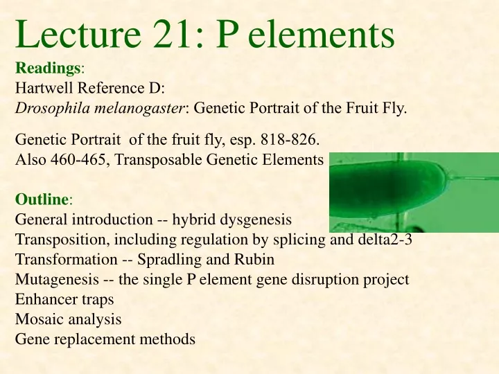 lecture 21 p elements readings hartwell reference