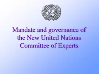 Mandate and governance of the New United Nations Committee of Experts