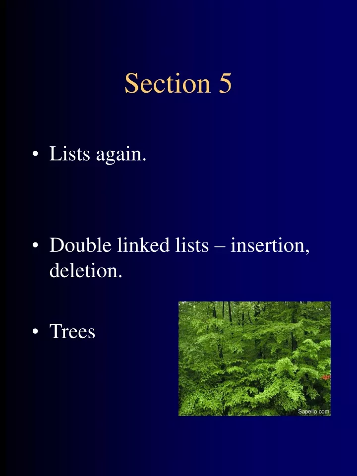 section 5
