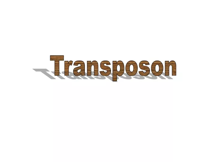 transposon