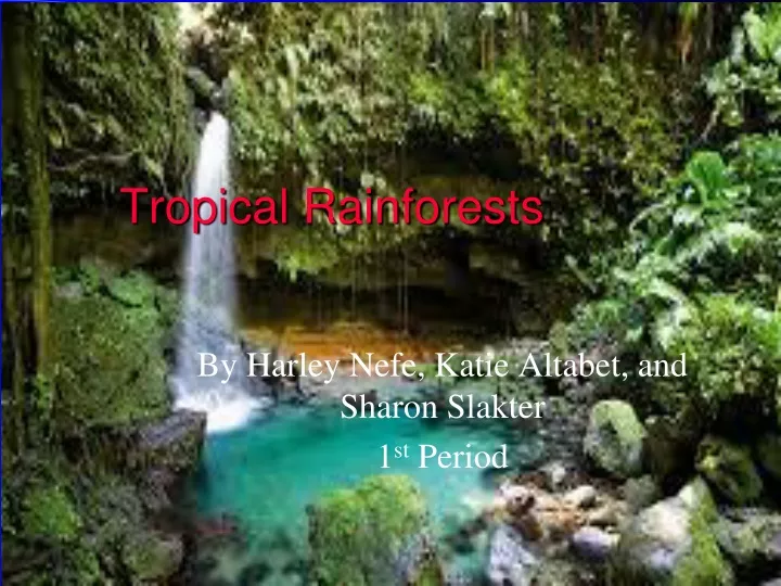 tropical rainforests