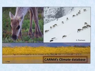 CARMA’s Climate database