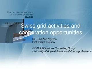 Swiss grid activities and cooperation opportunities