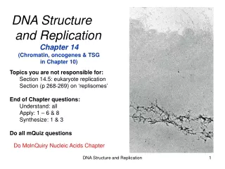 DNA Structure  and Replication Chapter 14 (Chromatin, oncogenes &amp; TSG  in Chapter 10)