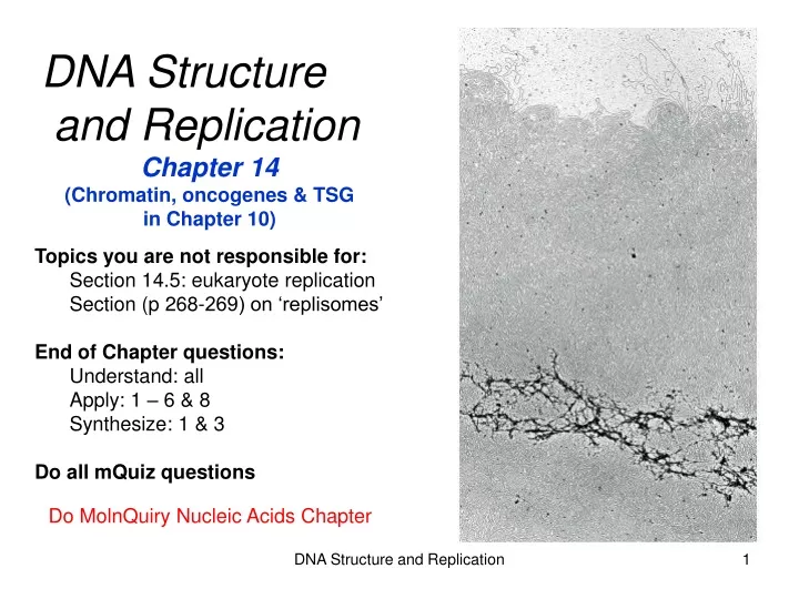 dna structure and replication chapter