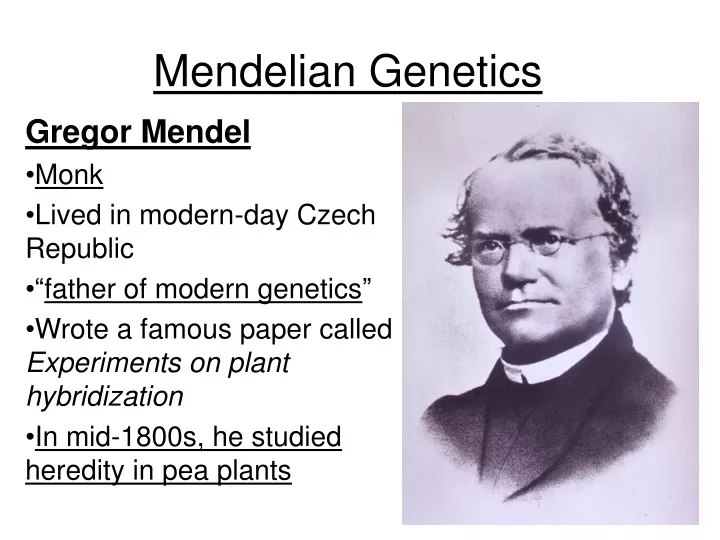 mendelian genetics