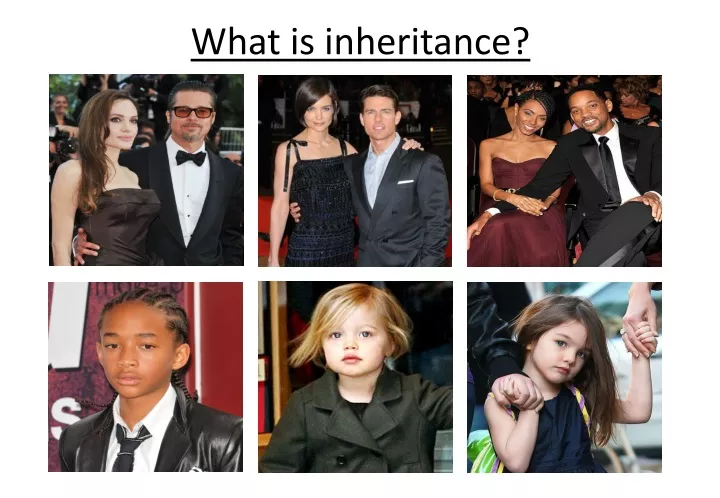 what is inheritance