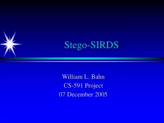 Stego-SIRDS