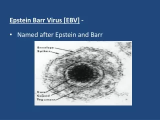 Epstein Barr Virus [EBV]  -   Named after Epstein and Barr