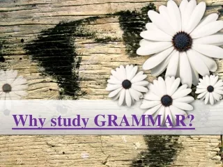 Why study GRAMMAR?