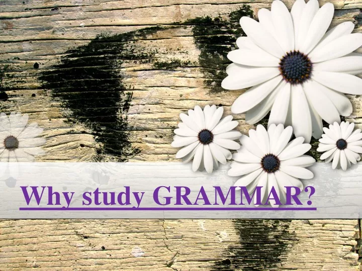 why study grammar