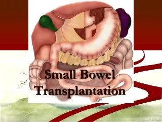 Small Bowel Transplantation