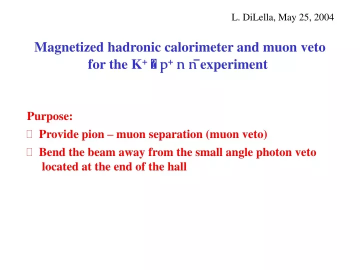 magnetized hadronic calorimeter and muon veto