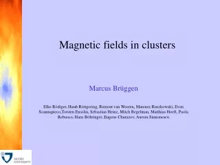 Magnetic fields in clusters