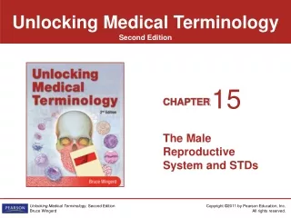 The Male Reproductive System and STDs