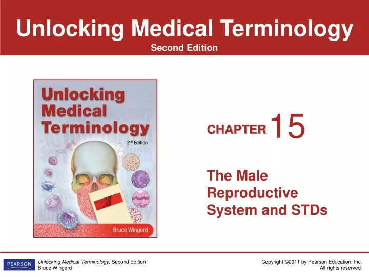 the male reproductive system and stds