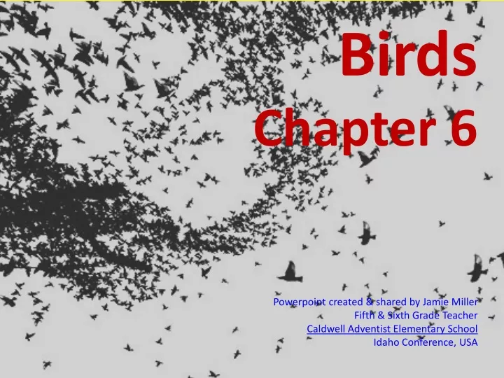 birds chapter 6 powerpoint created shared