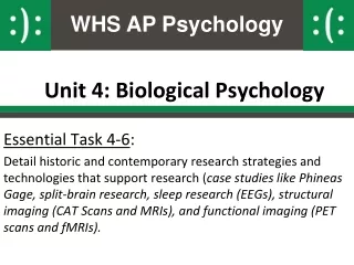 Unit 4: Biological Psychology
