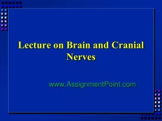 Lecture on Brain and Cranial Nerves