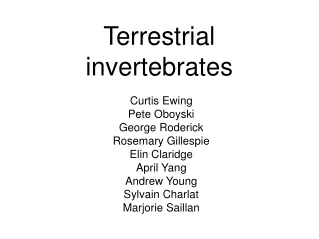 Terrestrial invertebrates