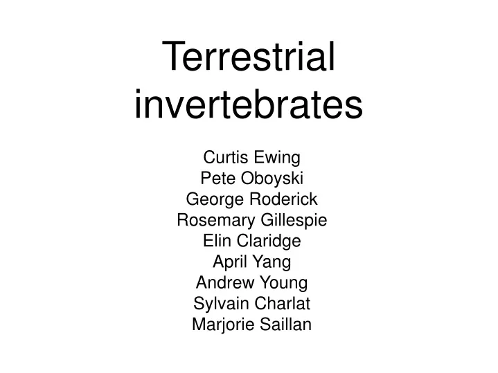 terrestrial invertebrates