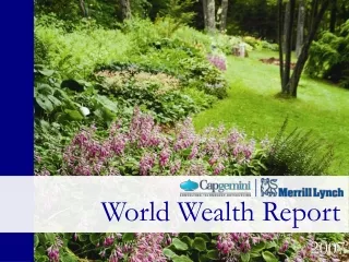 2007 World Wealth Report