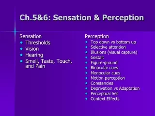 Ch.5&amp;6: Sensation &amp; Perception