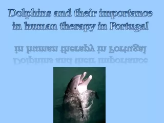 Dolphins and their importance in human therapy in Portugal
