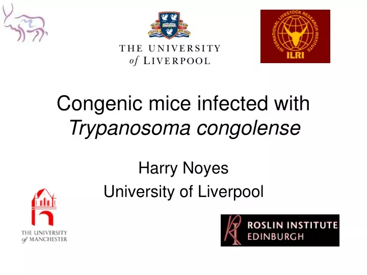congenic mice infected with trypanosoma congolense
