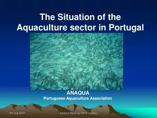 The Situation of the Aquaculture sector in Portugal