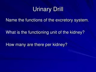 Urinary Drill