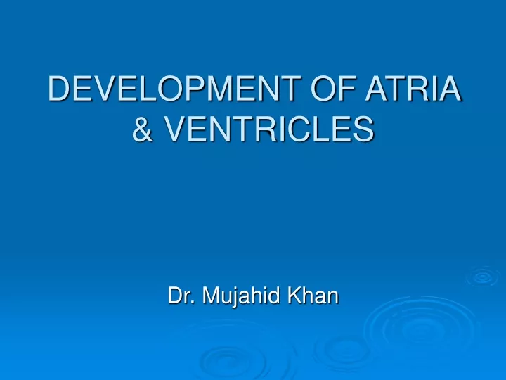 development of atria ventricles