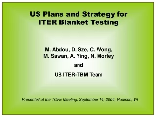 US Plans and Strategy for ITER Blanket Testing