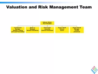 Valuation and Risk Management Team