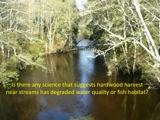 Alder and Water Quality