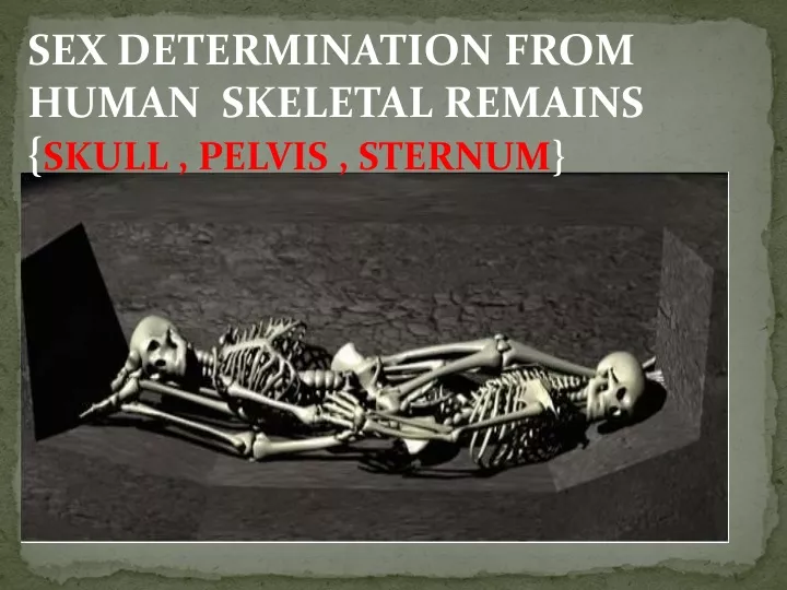 sex determination from human skeletal remains