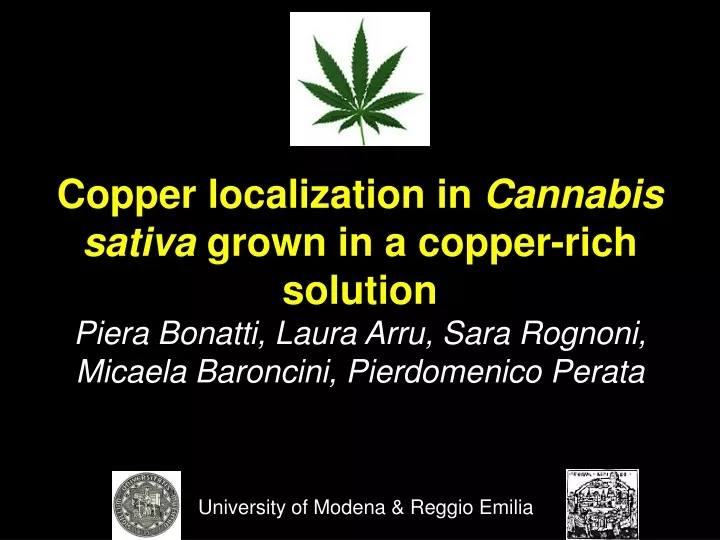 copper localization in cannabis sativa grown