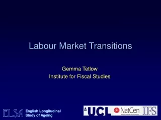 Labour Market Transitions
