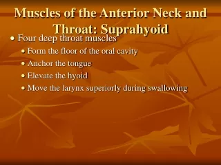 Muscles of the Anterior Neck and Throat: Suprahyoid