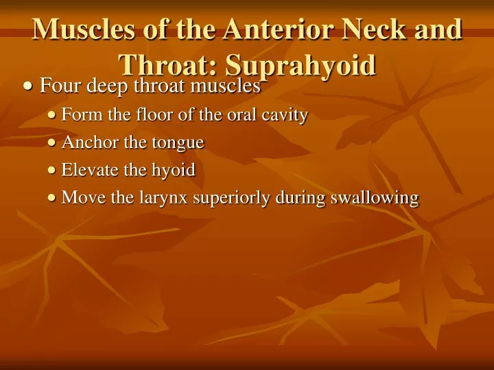 muscles of the anterior neck and throat suprahyoid