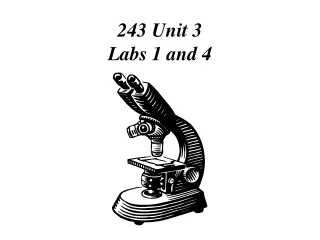 243 Unit 3 Labs 1 and 4