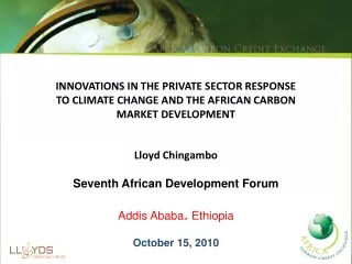 INNOVATIONS IN THE PRIVATE SECTOR RESPONSE  TO CLIMATE CHANGE AND THE AFRICAN CARBON