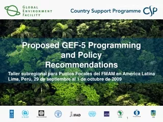 Proposed GEF-5 Programming and Policy  Recommendations