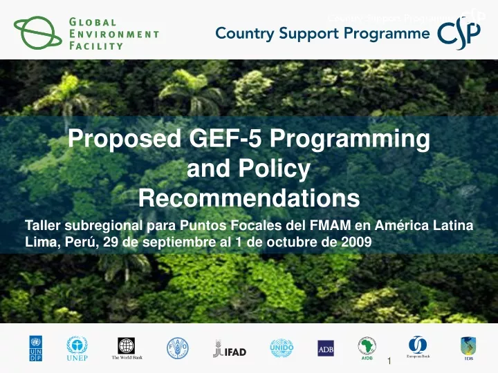 proposed gef 5 programming and policy