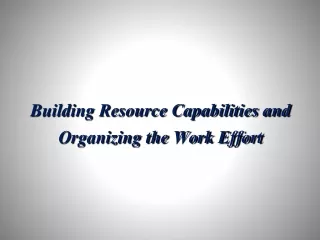 Building Resource Capabilities and Organizing the Work Effort